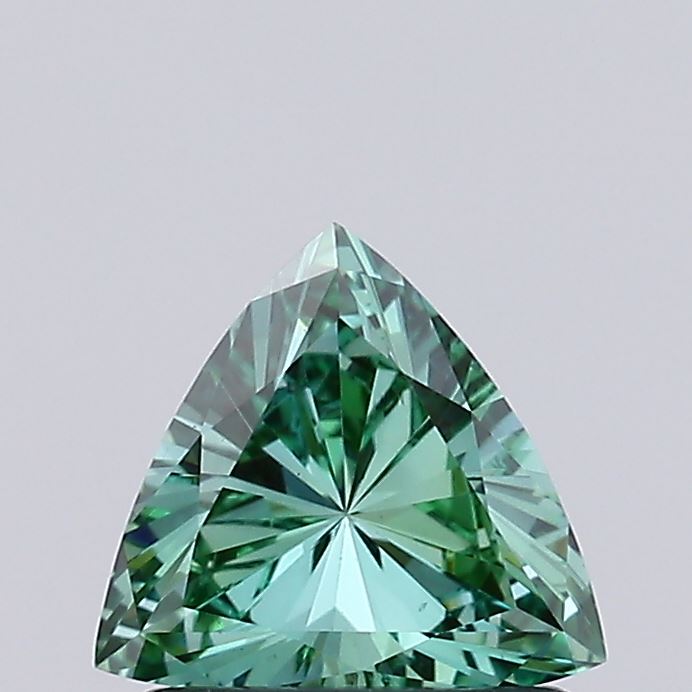 0.69ct Trilliant Diamond — IGI Certified · LG732527411