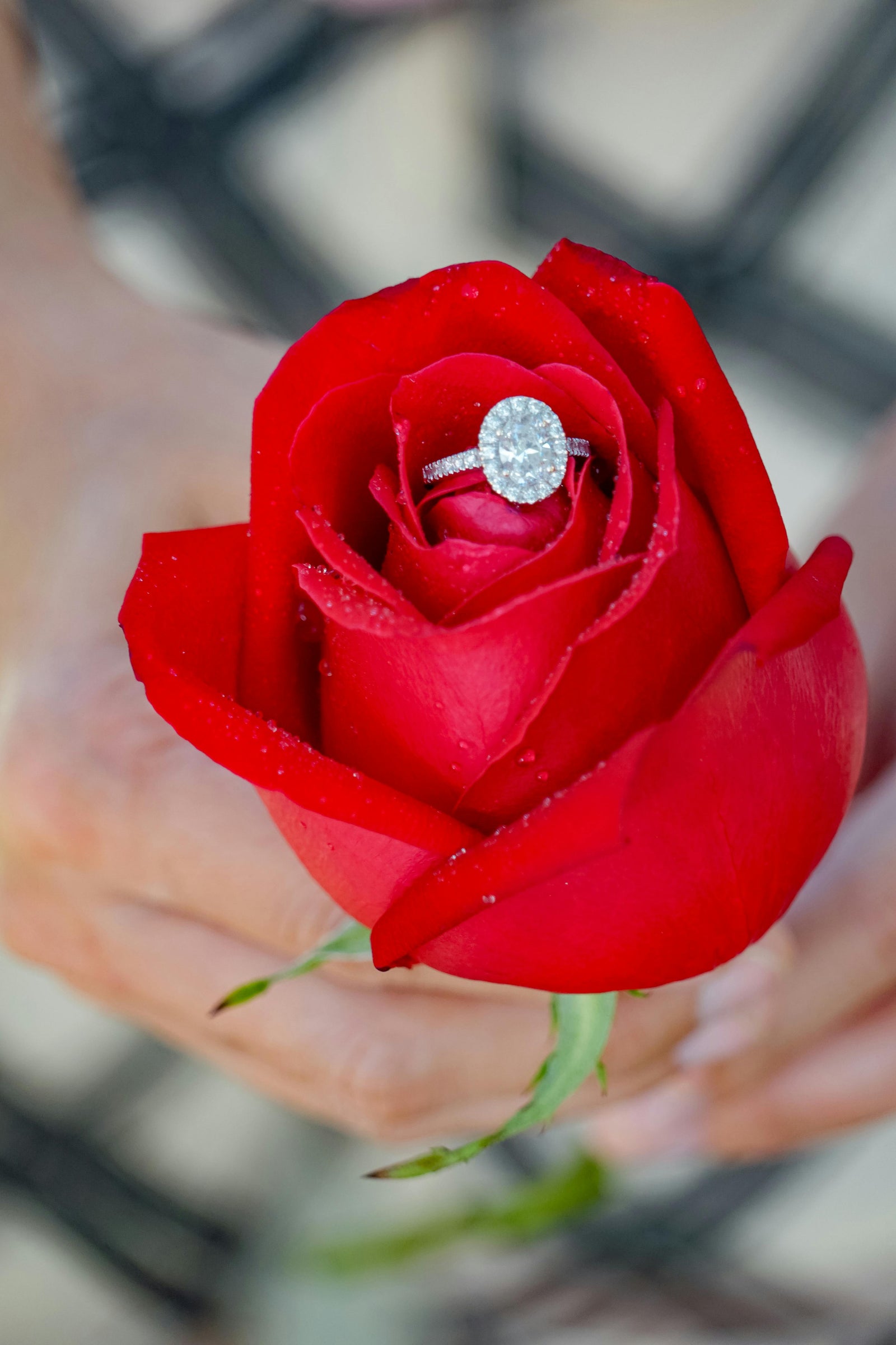 Saint-Valentin et diamants : le mariage parfait pour votre amour