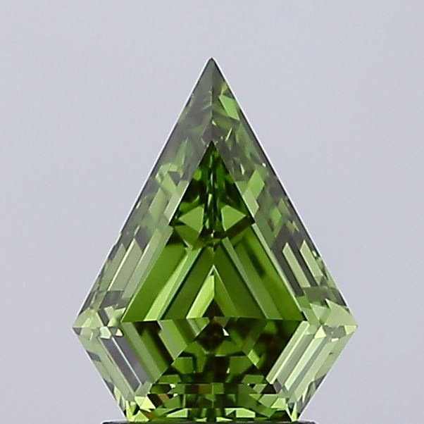 1.49ct Pentagon (shield) Diamond — IGI Certified · LG719538790